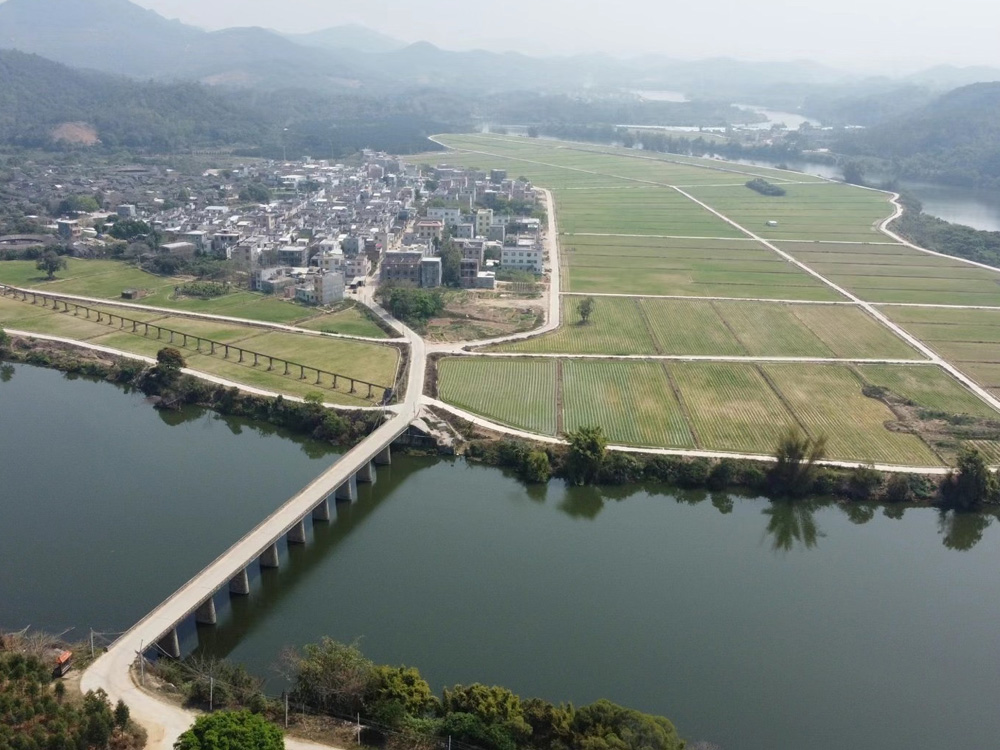 树模基地