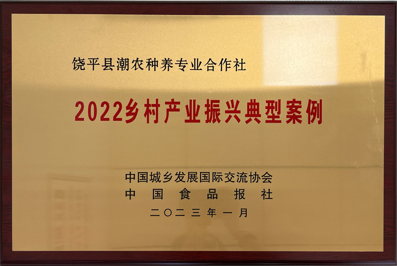 2022墟落工业振兴典范案例